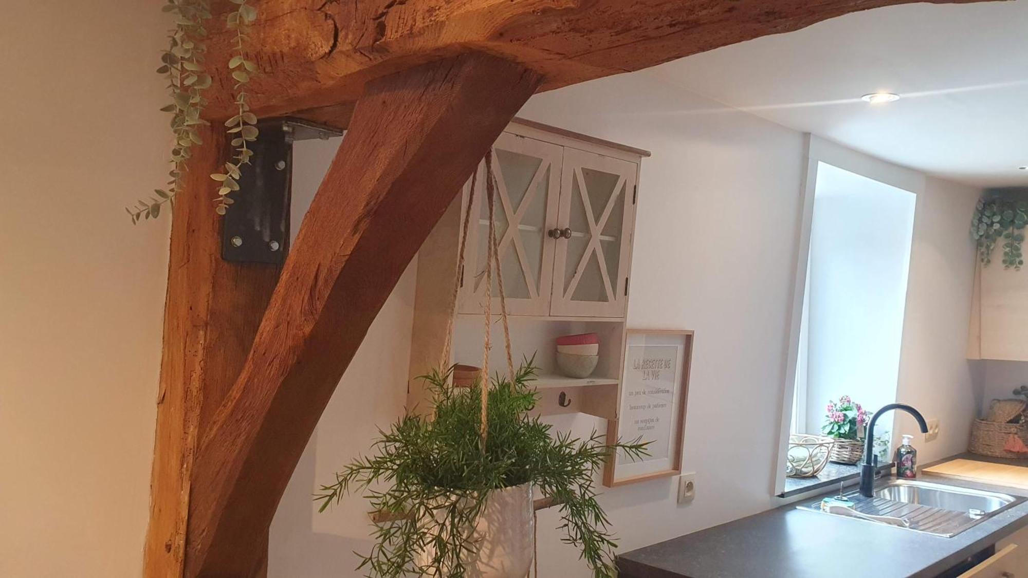 Petite Bulle De Saint Remacle Lejlighed Stavelot Eksteriør billede